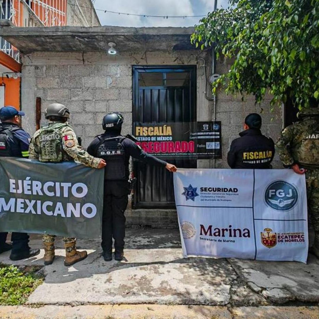 Durante el operativo fueron realizados 15 cateos y 14 inspecciones