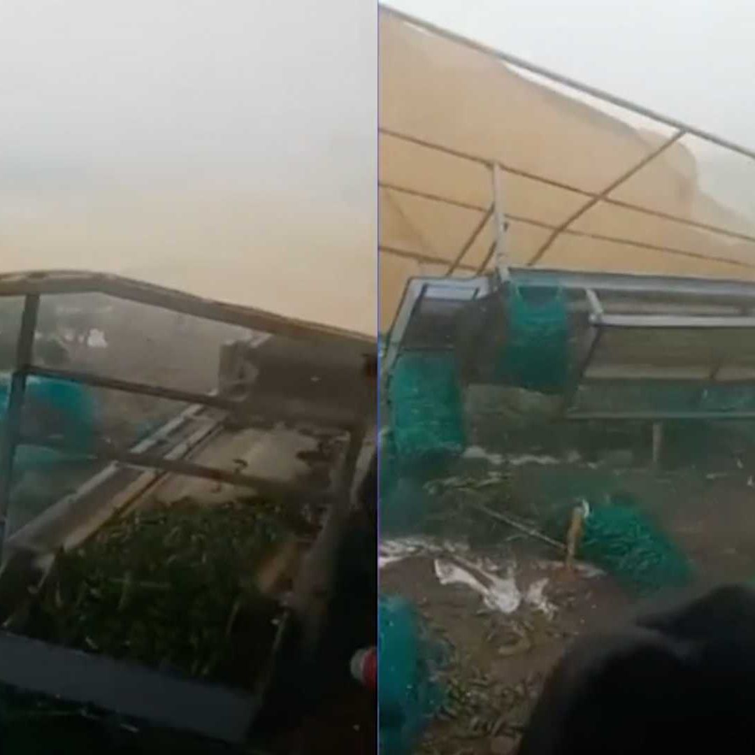 Tormenta y Granizo Voltean Camiones en Rosales, Chihuahua.  Foto: N+