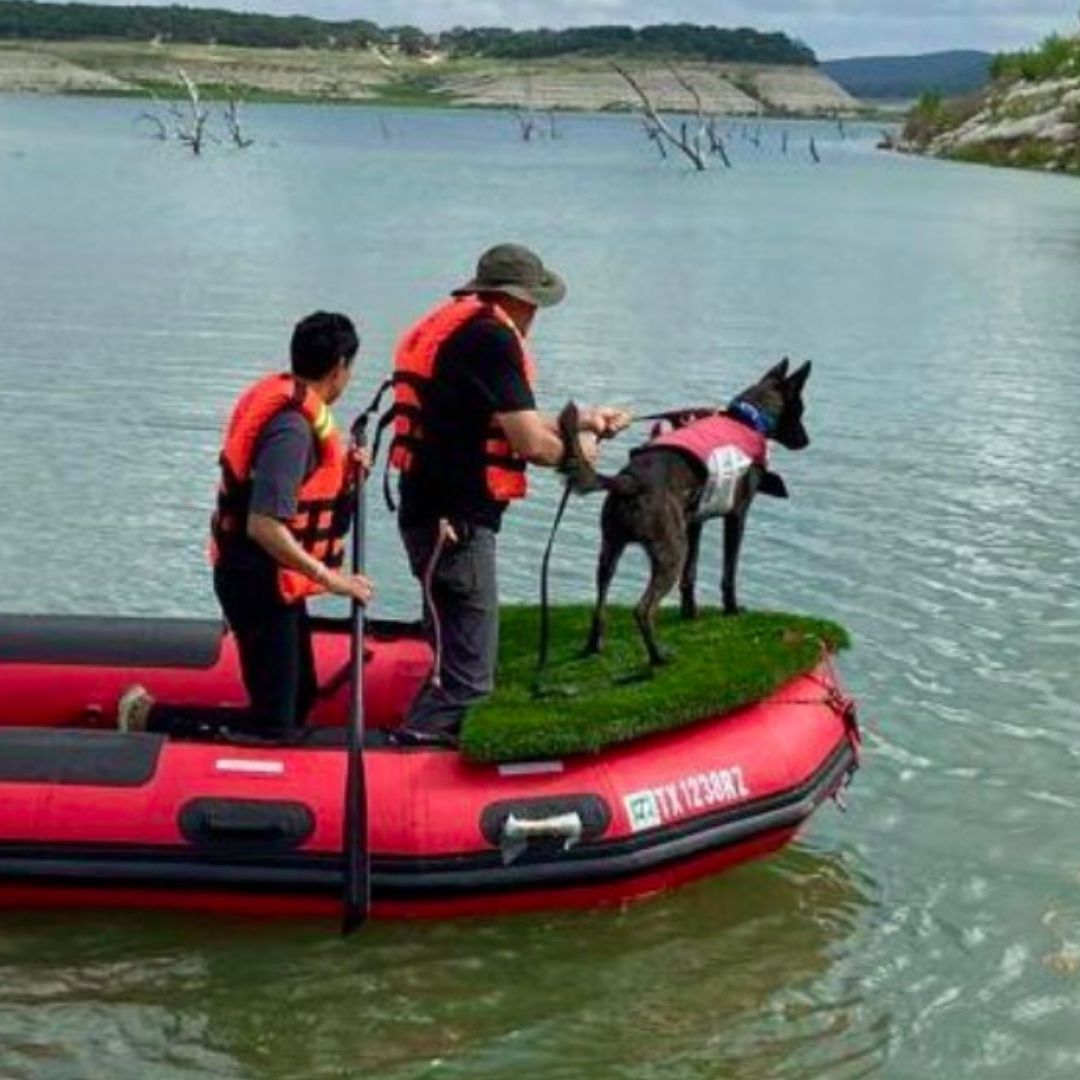 Equipos Caninos de Rescate de México se Suman a Búsqueda de Personas en Texas tras Inundaciones