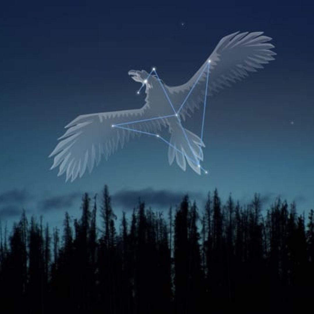 Constelación Águila Julio 2025: Consejos para Ver Formación de Estrellas desde Casa, según NASA