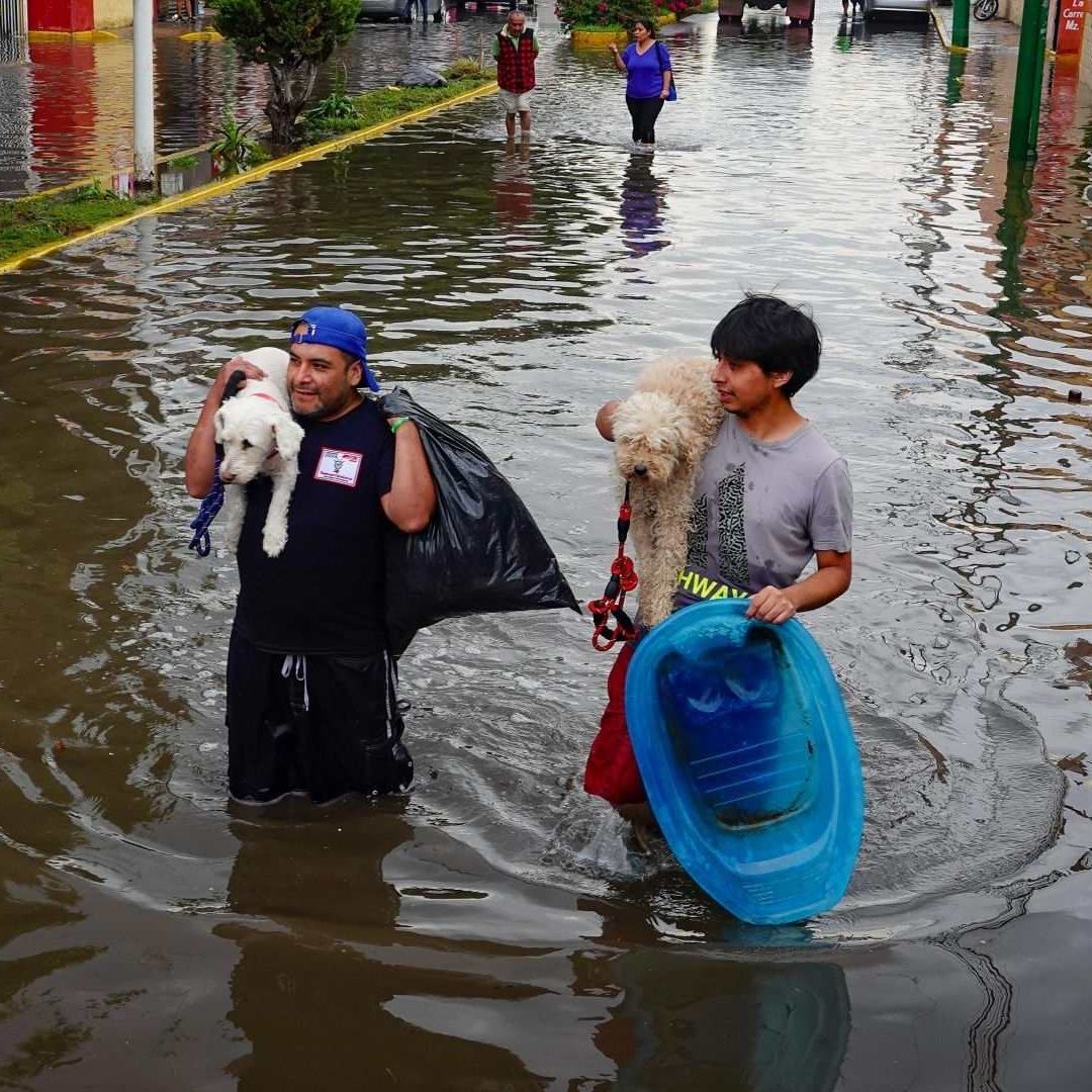Pierden Casi Todo: Inundaciones en Chalco y Cuautitlán Dejan Miles de Afectados