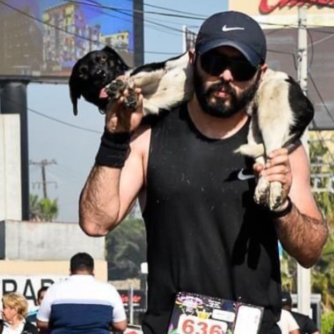 Atleta Carga a Perrito Atropellado en Maratón pero es Criticado por Abandonarlo
