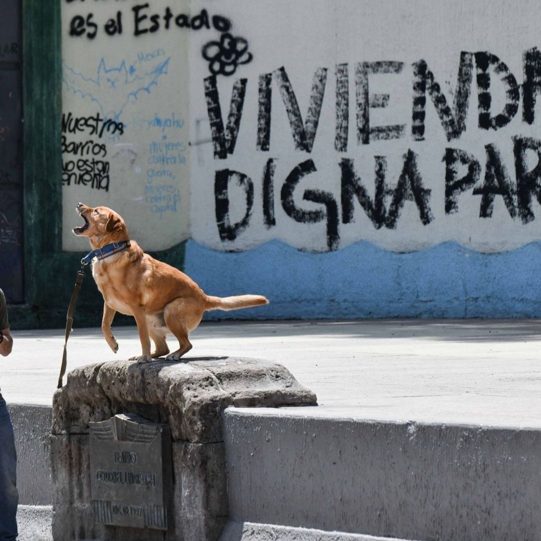 Pared con el mensaje Vivienda Digna, durante marcha contra gentrificación