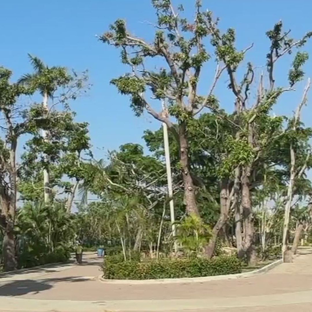 A Ocho Meses del Paso de Otis, Reabren Parque Papagayo de Acapulco, Guerrero