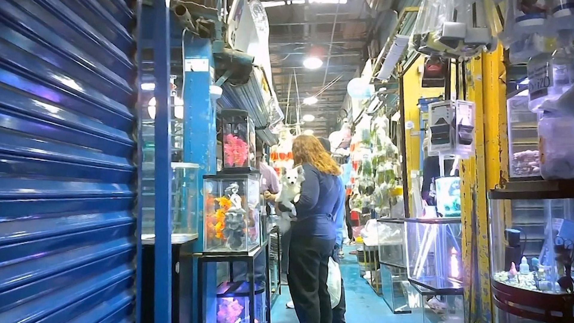 Los pasillos del Mercado de Mixihuca están repletos de animales a la venta