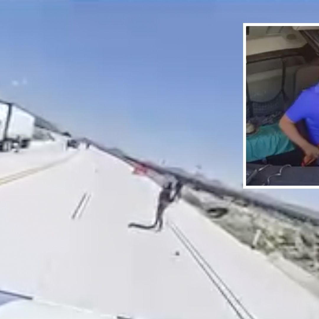 Privación de la Libertad y Rescate de Chofer en Falso Retén en Autopista Cuacnopalan-Cuapiaxtla de Puebla