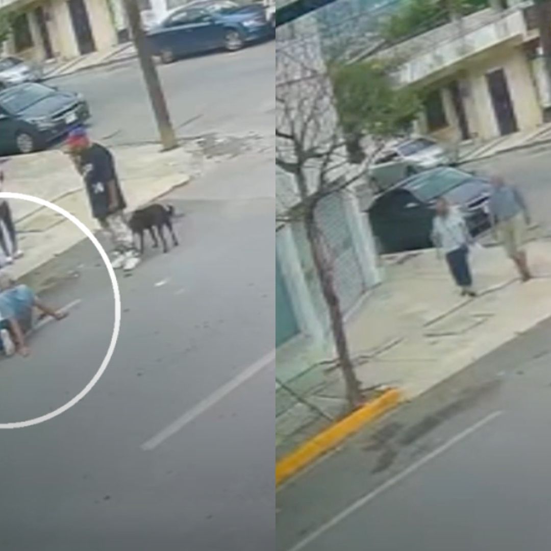 Hombre es atacado por perro callejero