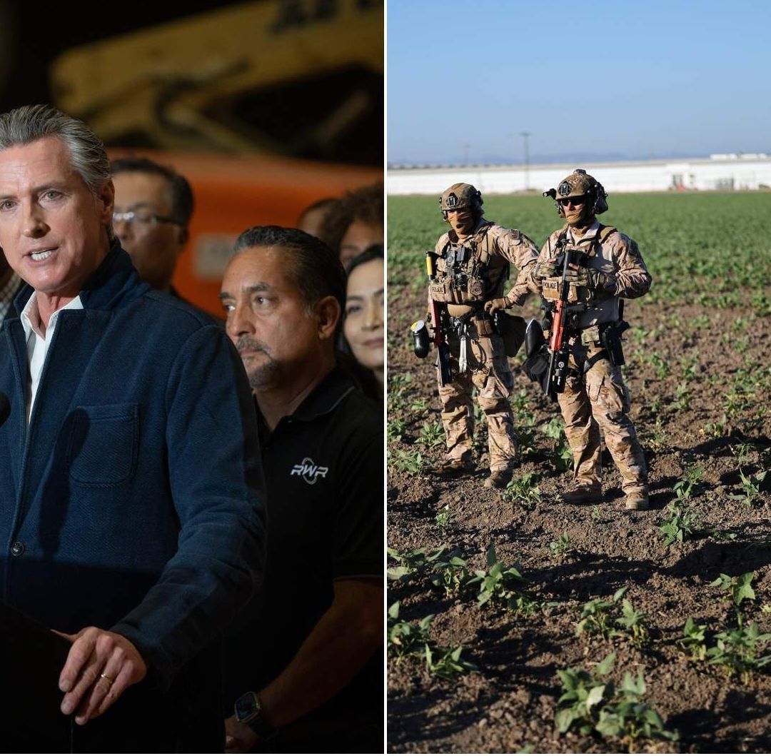 Gobernador de California Llama "Escoria" a Trump tras Redada vs Migrantes en Campo Agrícola