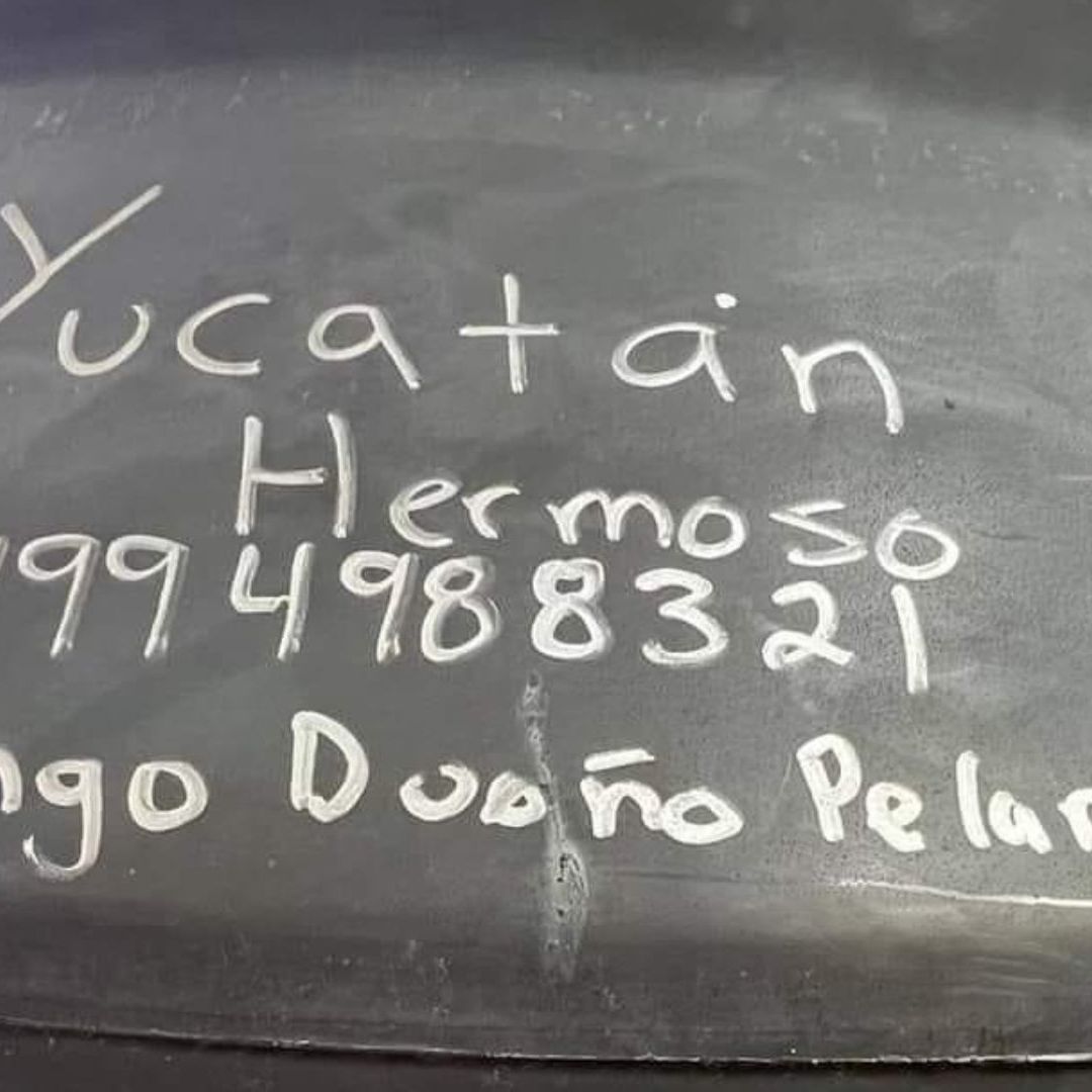 Los usuarios en redes sociales le han puesto la dirección y el nombre a sus tinacos apelando a que la gente se los devuelva