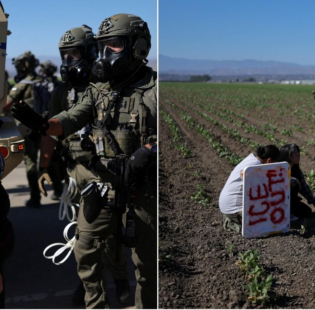 ICE Realiza Violenta Redada con Gas Lacrimógeno en Granja Agrícola en California, Estados Unidos.