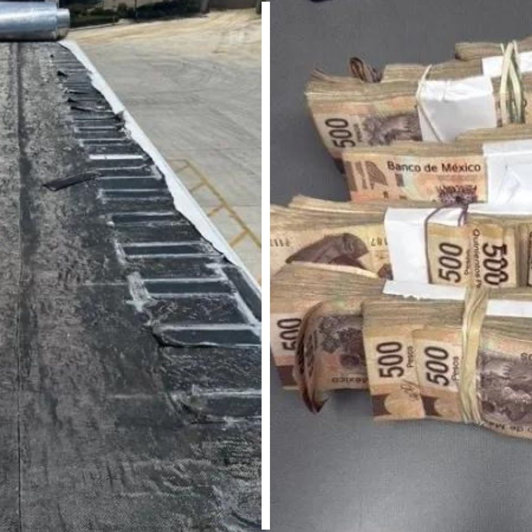 CBP Decomisa Armas, Narcóticos y Fauna Silvestre