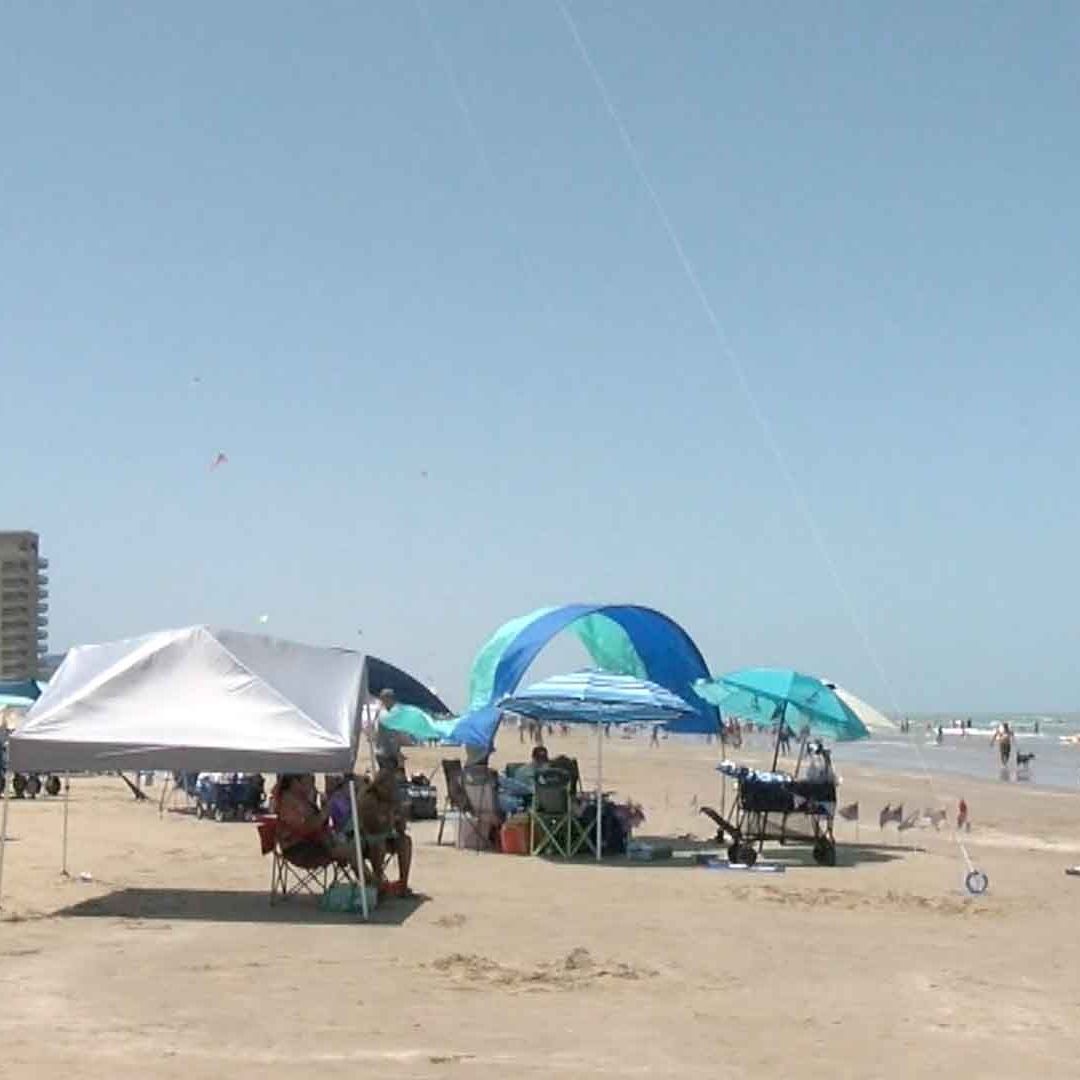 VIDEO: Testigos Relatan Ataque de Tiburón a Bañista en la Isla del Padre, Texas