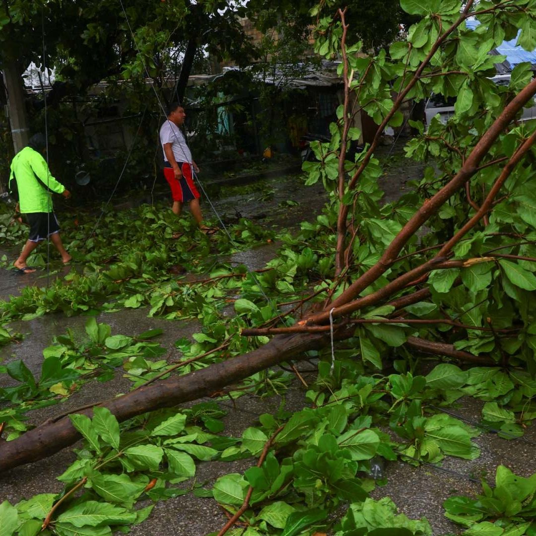 Daños por Huracán Beryl: Colonias Sin Luz y Caída de Árboles y Techos; No Reportan Muertes