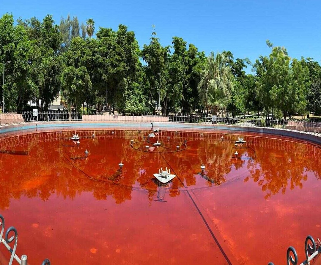 Fuente del Parque I. Madero en Hermosillo es Teñida de Rojo como Acto de Protesta