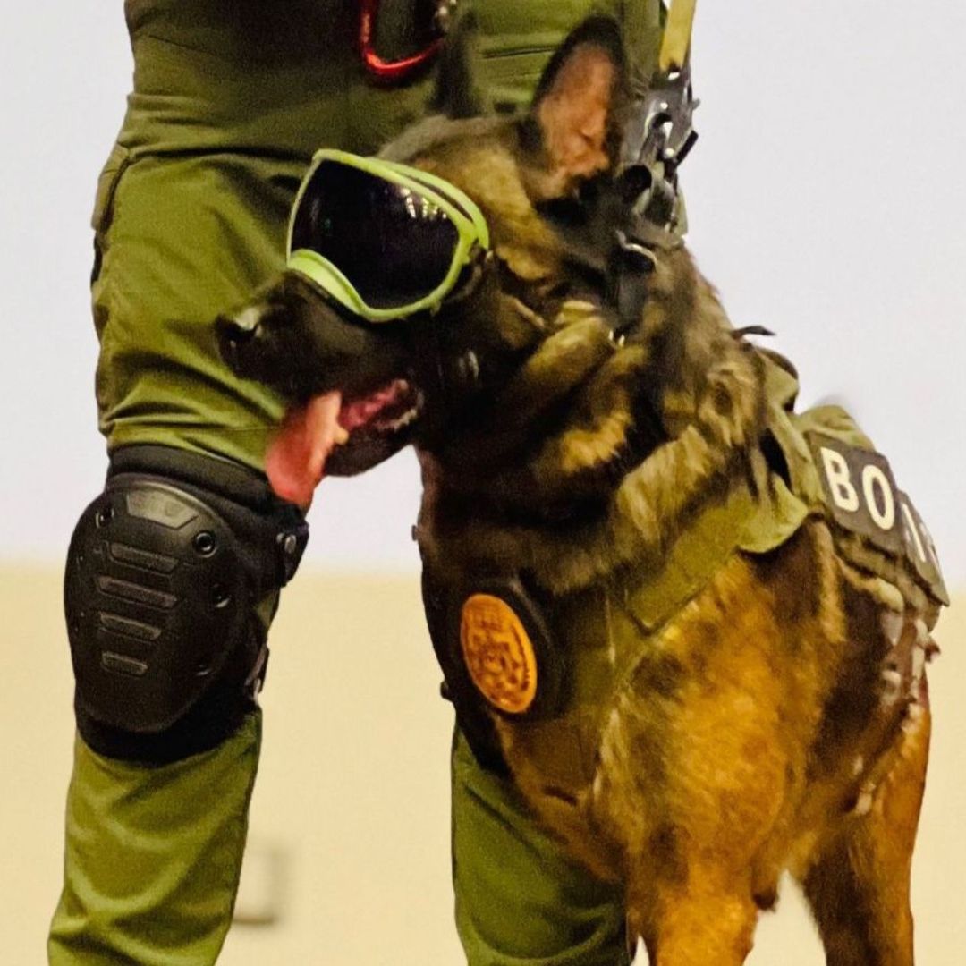 Agente canino es premiado como perro del año 2023