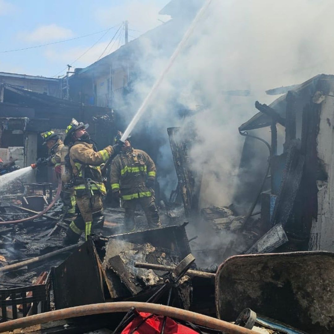 Rescatan a 15 Personas y 15 Perros en Incendio en Tijuana; Un Perro Murió por Quemaduras