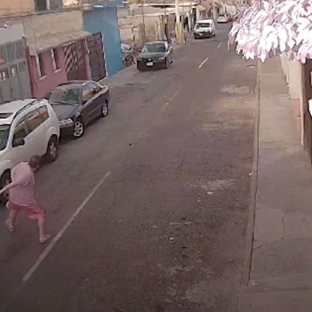 sujeto es captado lanzando un gato