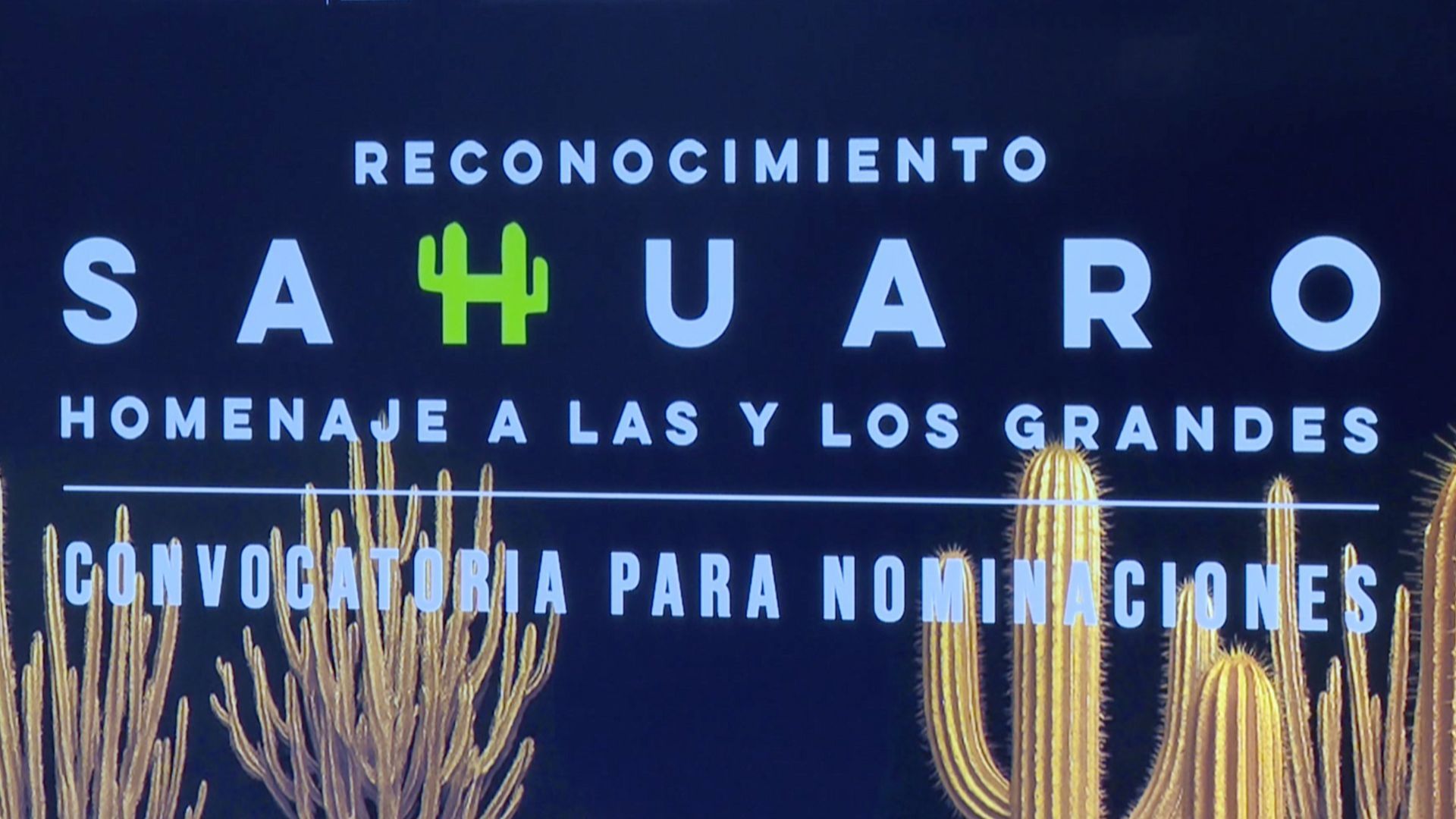 Reconocimiento Sahuaro 2025 en Sonora; ¿Cómo Nominar a un Adulto Mayor Destacado?