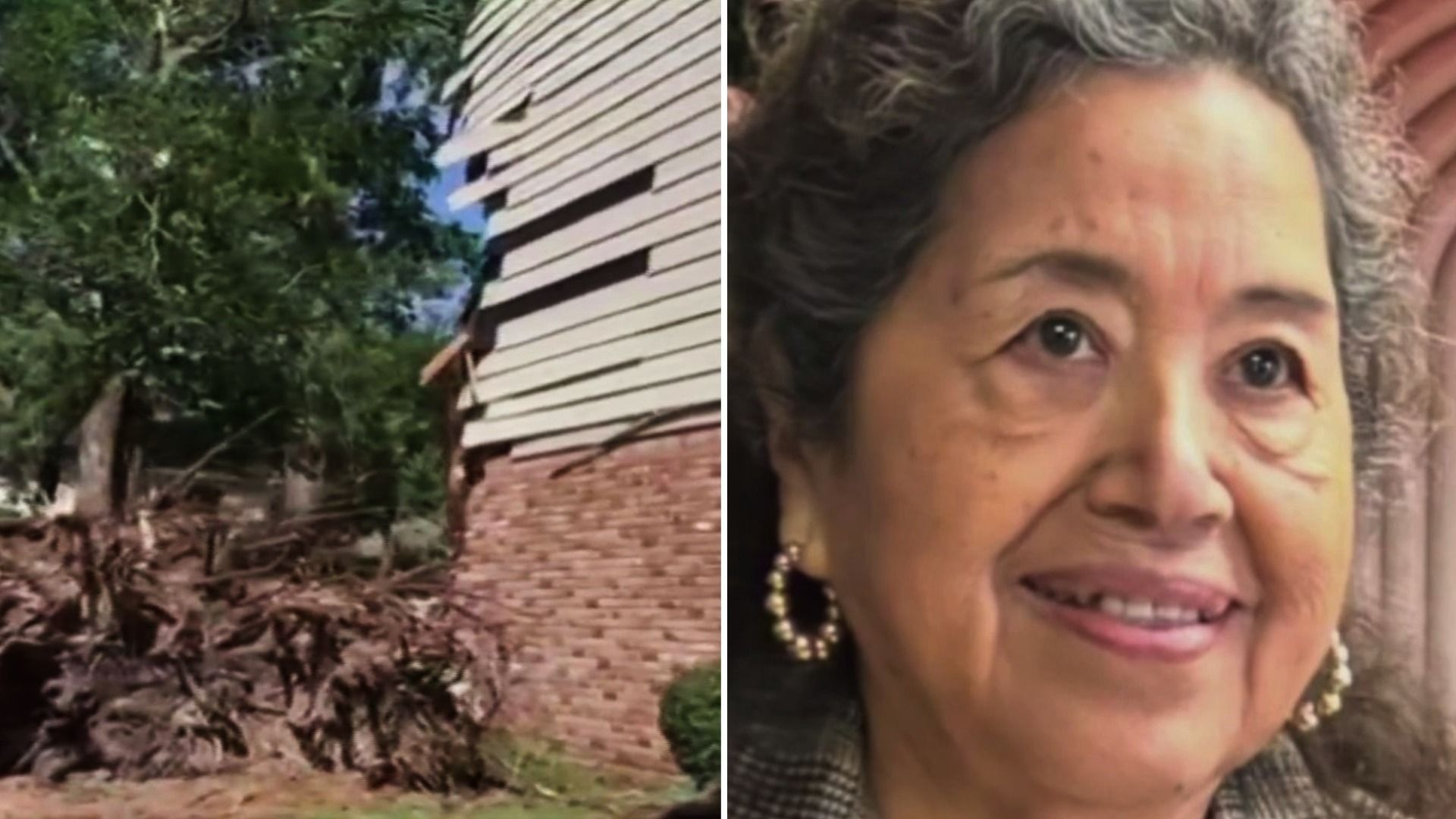 Mexicana Muere Tras Paso de Beryl por Texas; Enorme Roble le Cayó Encima