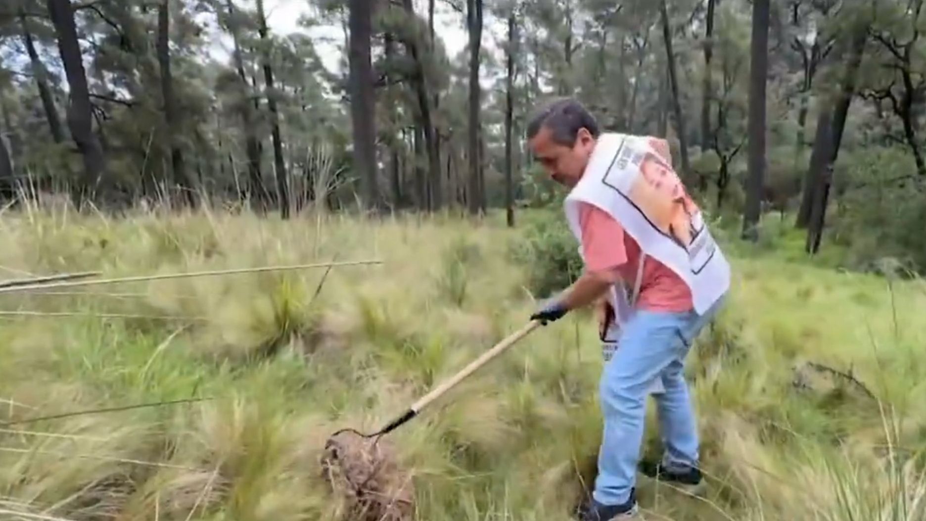 Colectivos realizan jornada de búsqueda en el Ajusco