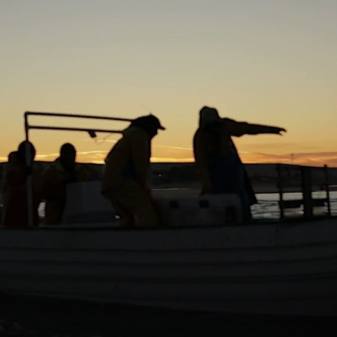Chapitos Extorsionan a Pescadores en Baja California
