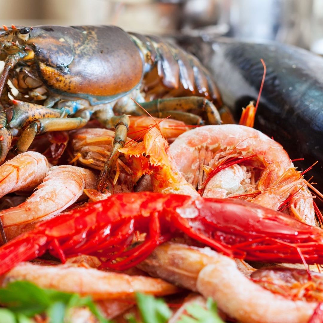 ¿Comiste Mariscos Recientemente? Alertan por Bacteria Carnívora que Ya Cobró Vida de 4 Personas