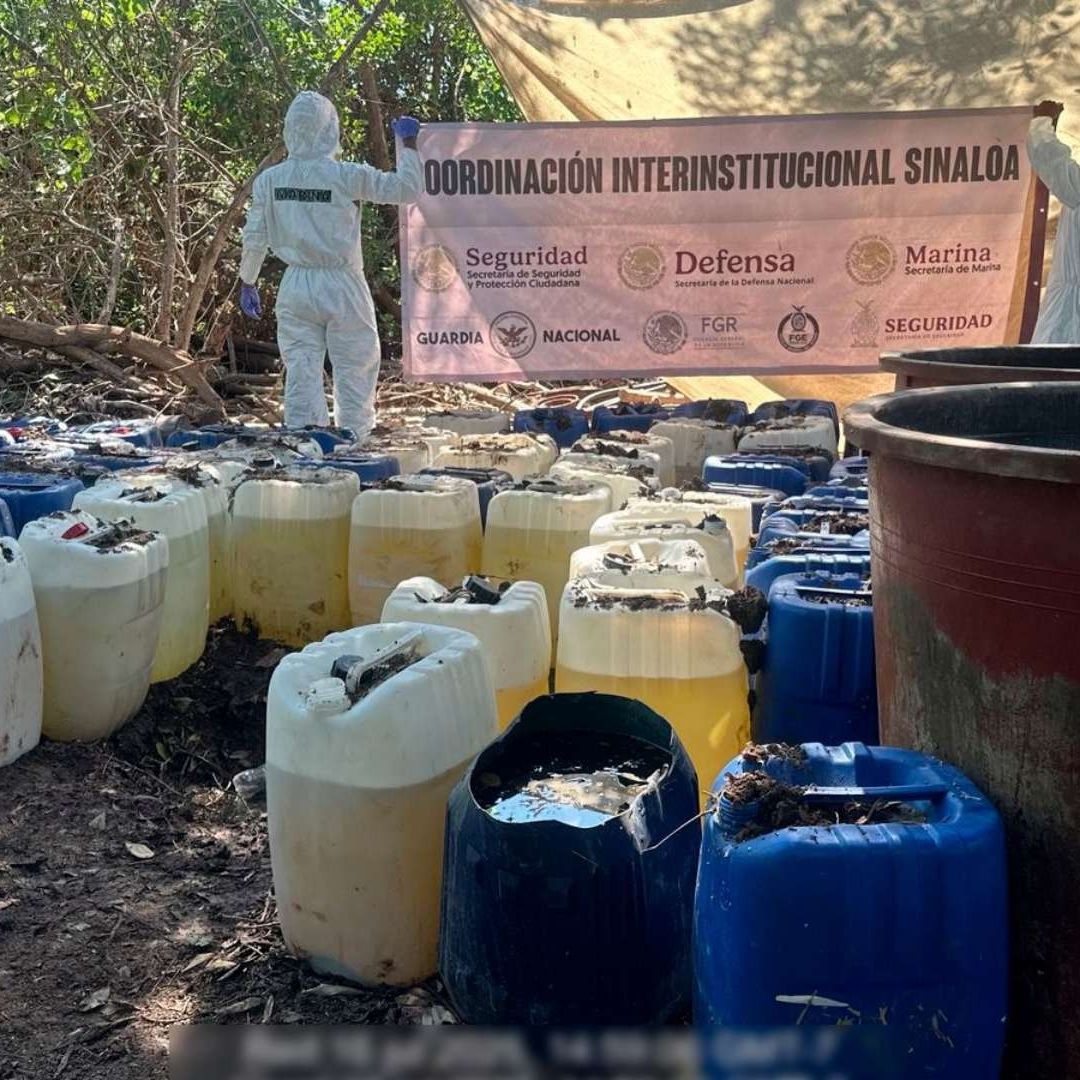 'Narcolaboratorio' desmantelado en Navolato, Sinaloa