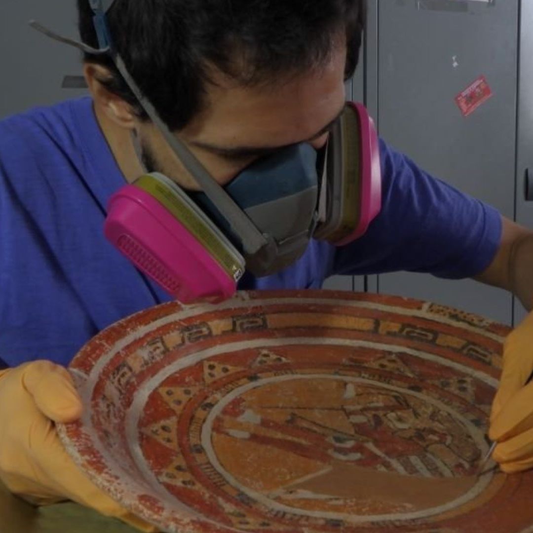 Aunque la mayoría de las piezas permanecen en los laboratorios, algunas se presentaron en la exposición Súbete al Tren, en febrero de 202