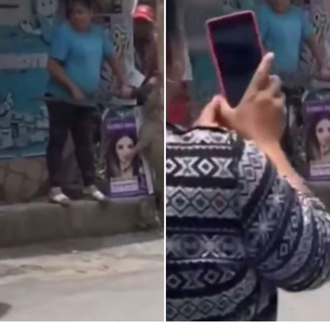 Una Pelea Entre Perros de Vecinos Provocó que Asfixiaran Hasta Matar a Roco y Canelo en Edomex.