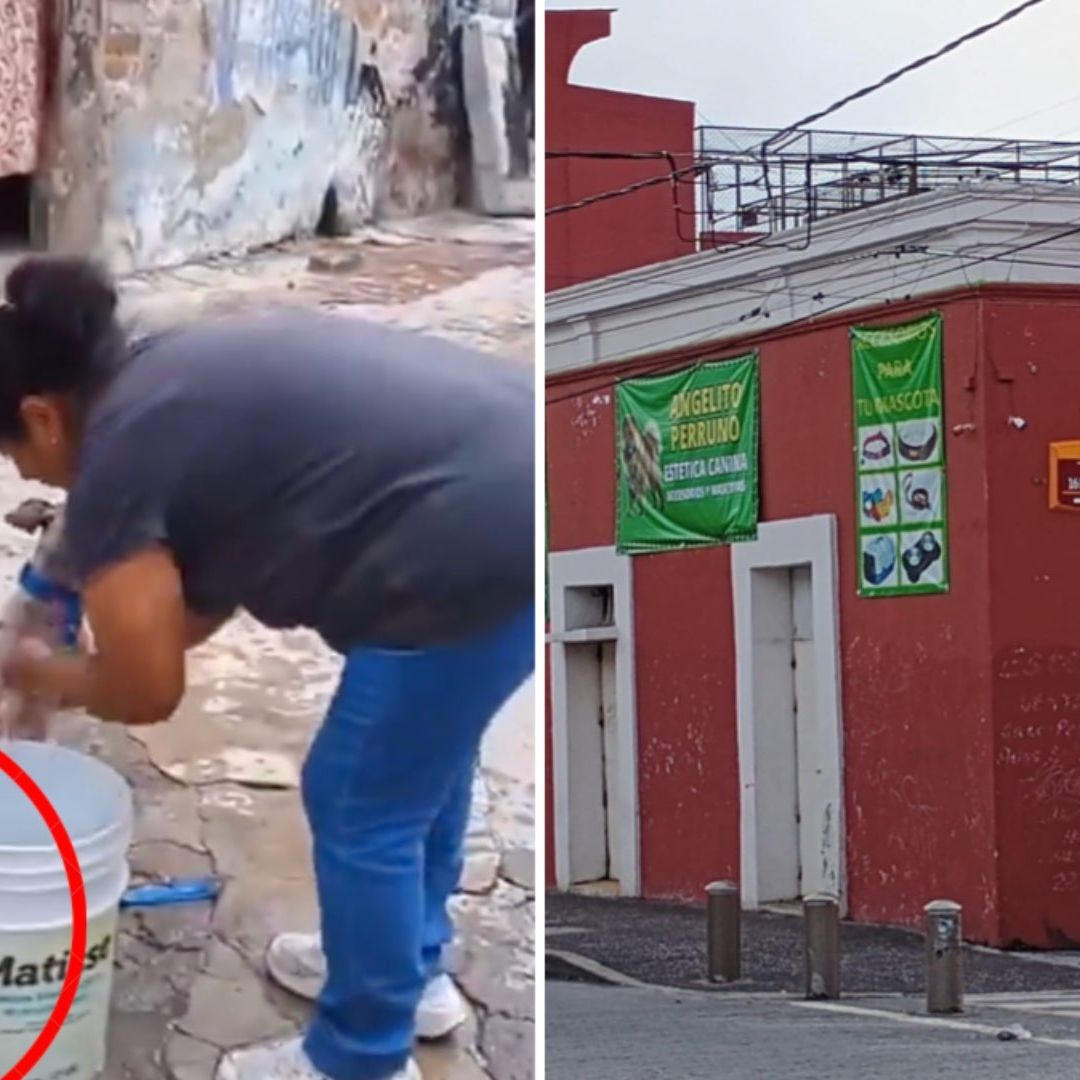 Maltrato animal en estética canina; los bañan con agua fría y jabón de trastes.