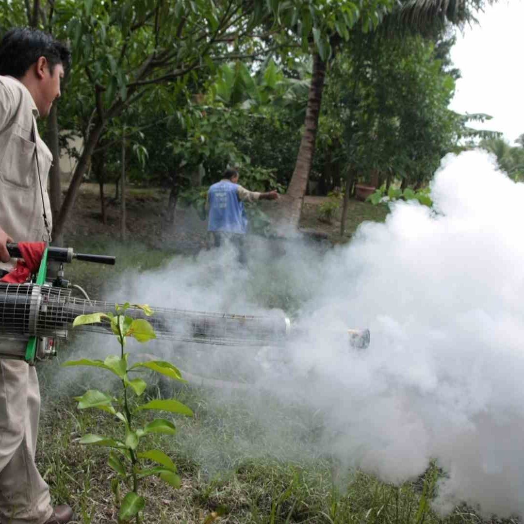 Repuntan Casos de Dengue en la Península de Yucatán