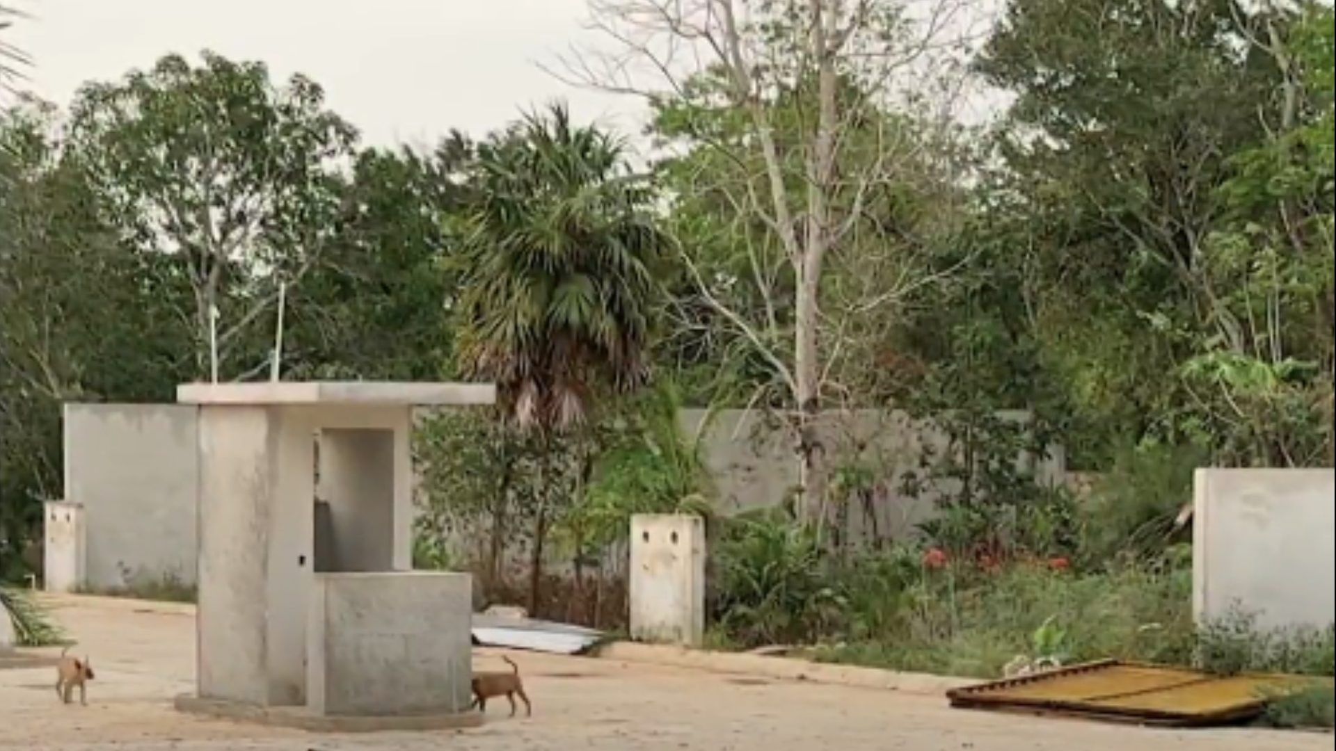 Ofrecen Otros Desarrollos a Clientes Defraudados por Inmobiliaria en Cancún que Exigen su Dinero