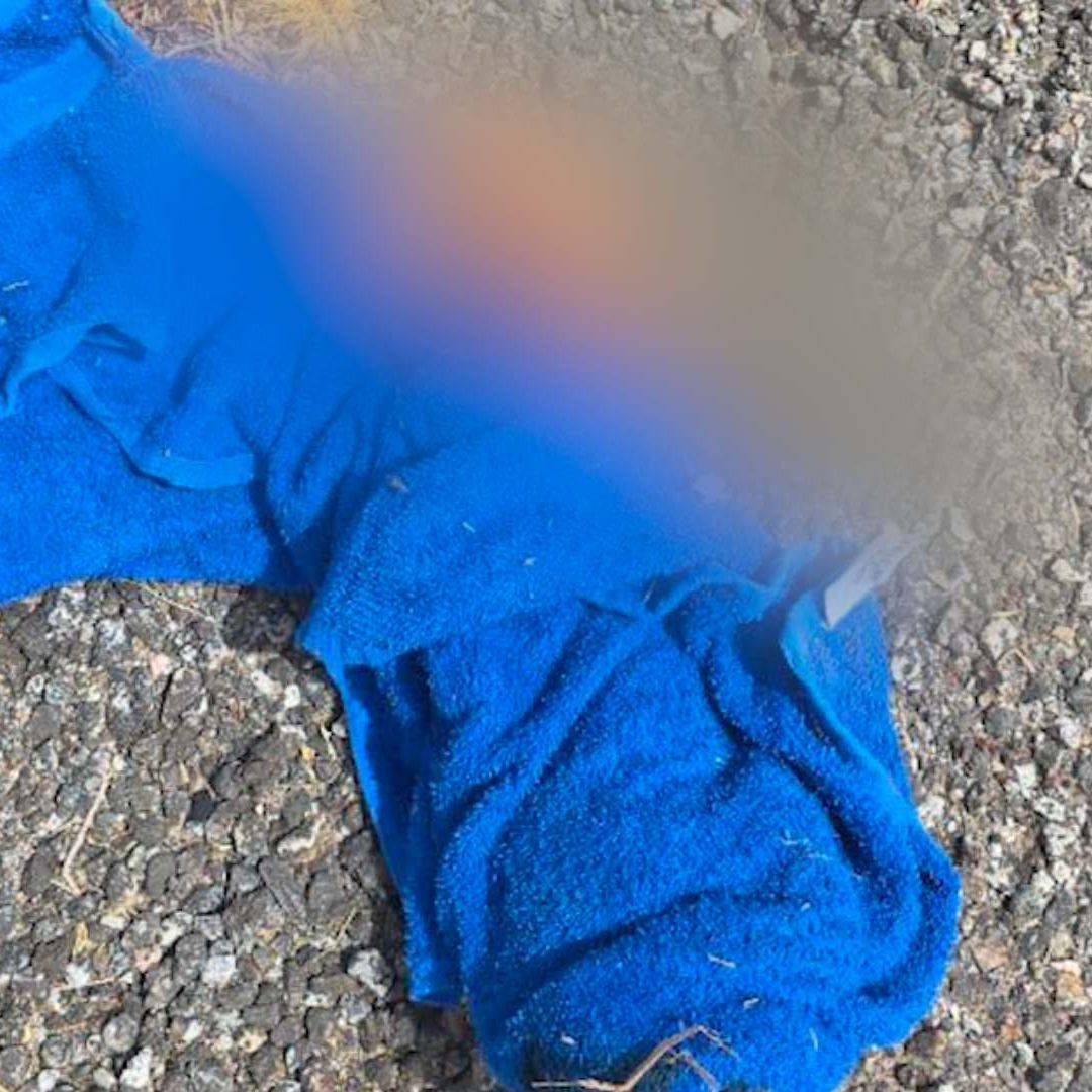 Localizan Resto de Brazo Humano en Carretera Mexicali-San Felipe