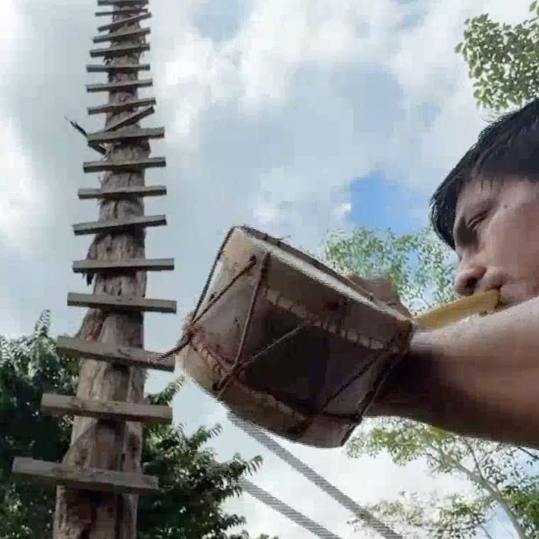 Aseguran han pedido por años se les brinde algún tipo de seguro por el riesgo que viven cada que suben al palo y llevan a cabo su ceremonia.