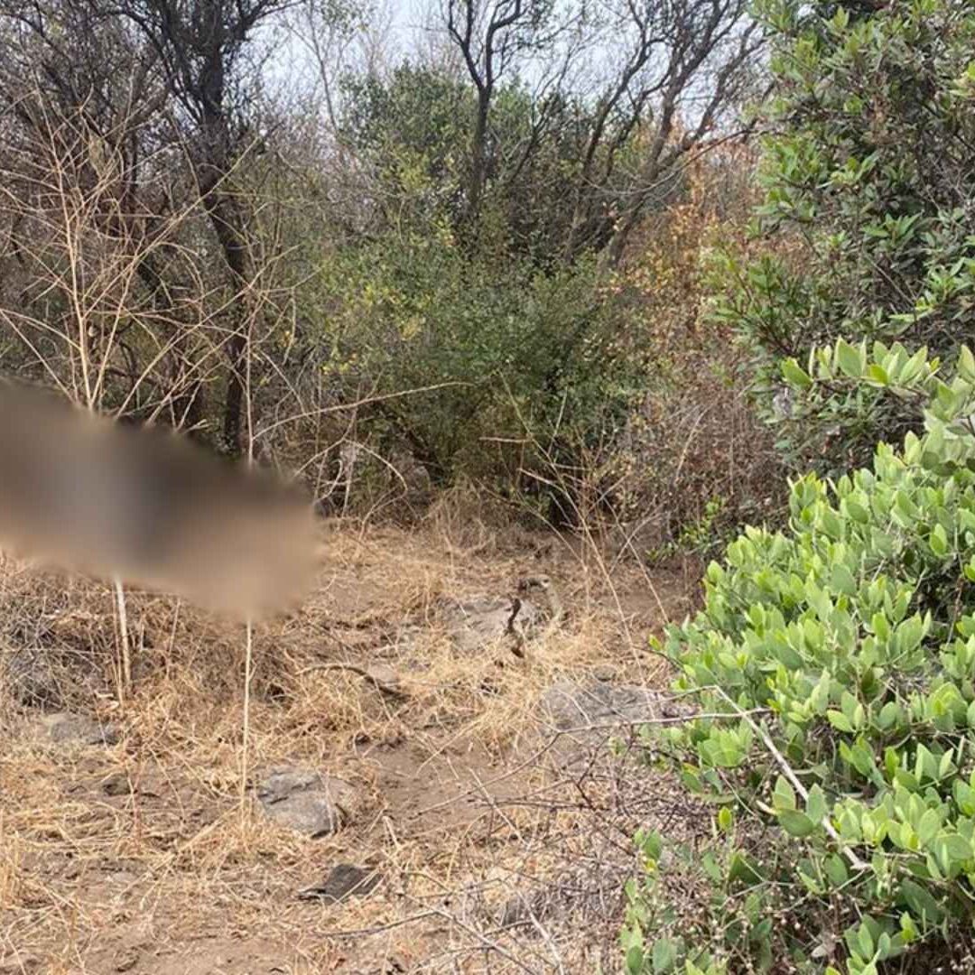 Hallan Cuerpo Mutilado en Fraccionamiento Valle Dorado en Ensenada