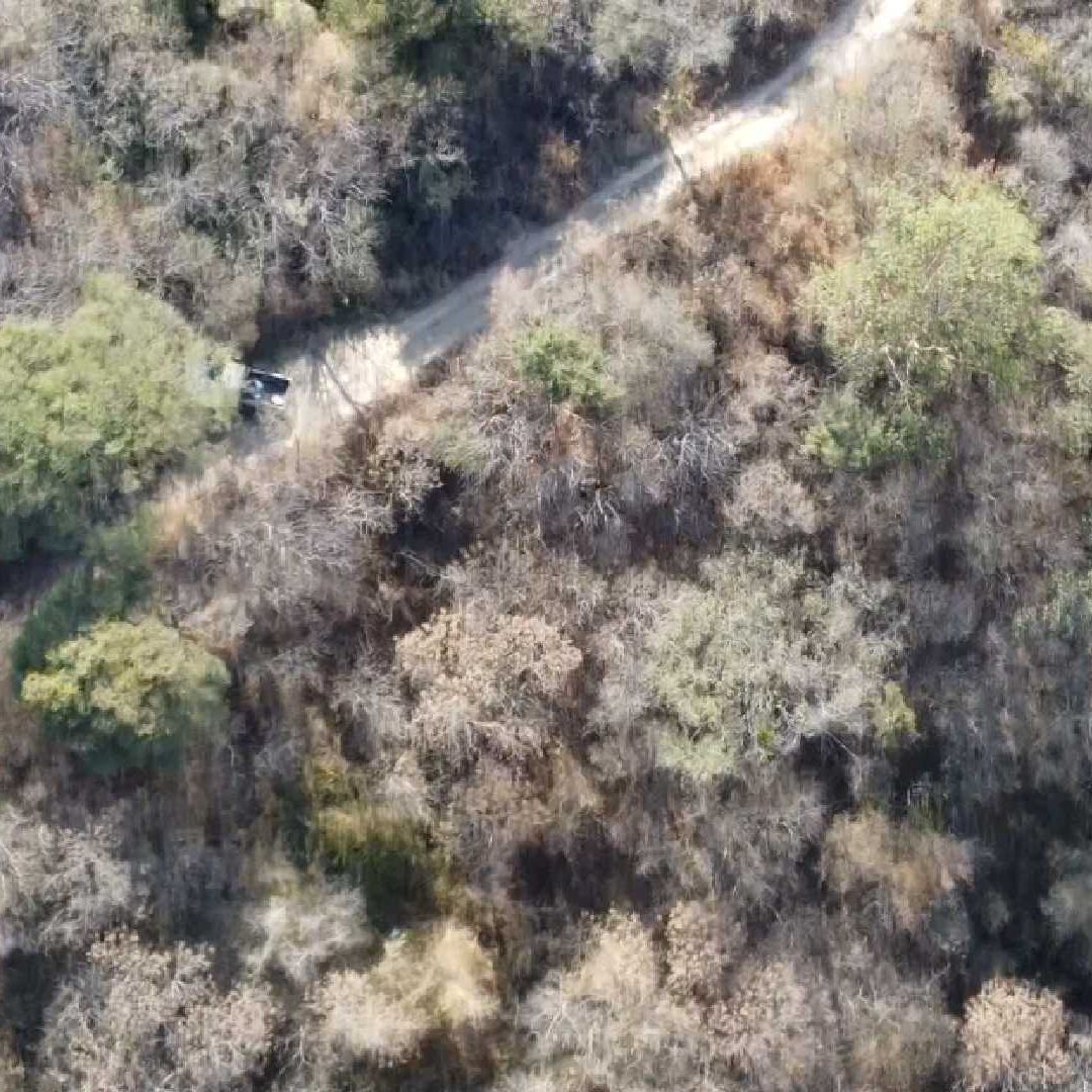 Encuentran otra fosa clandestina en Tonalá, Jalisco