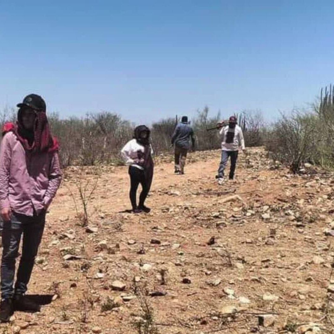 Localizan Fosas con Restos Humanos en Guaymas, Cajeme y Plutarco Elías Calles