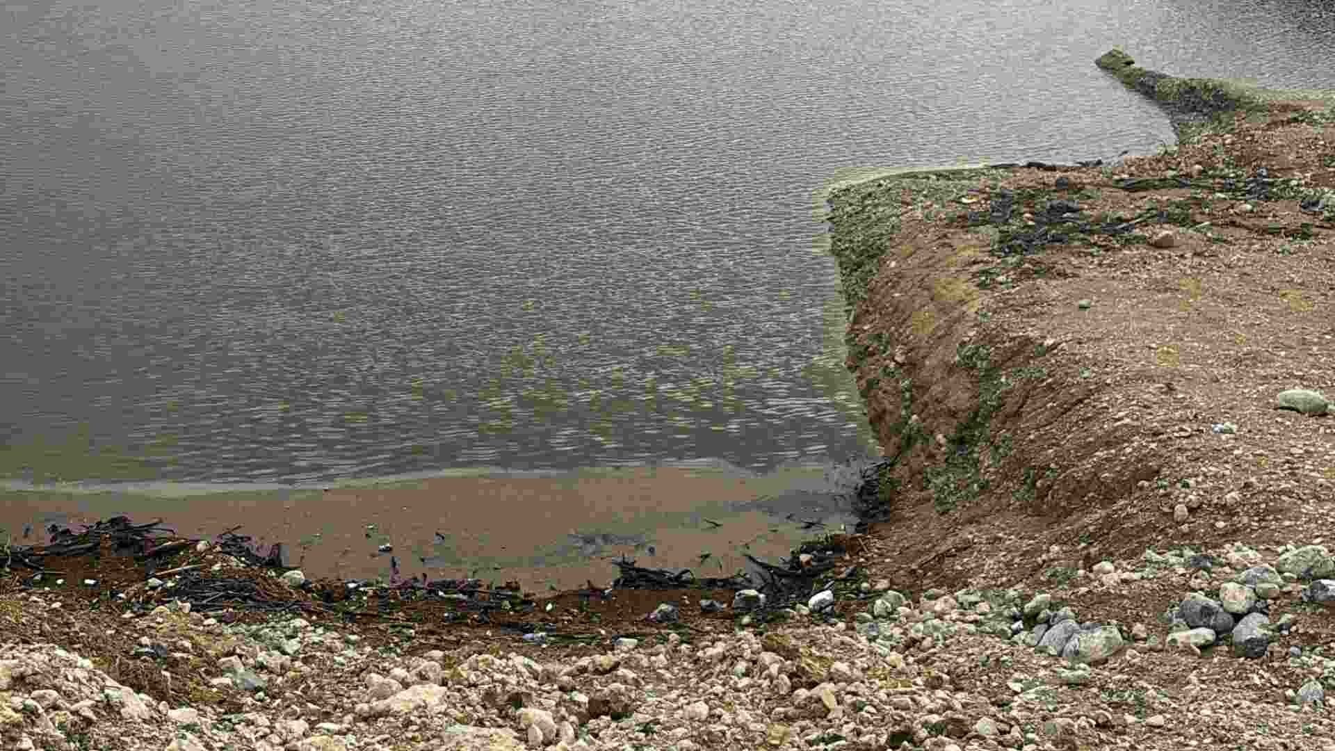 Hallan a Joven Extraviada Muerta Dentro de Pozo con Agua; Presuntamente un Día Antes Salió a Pasear con su Perro
