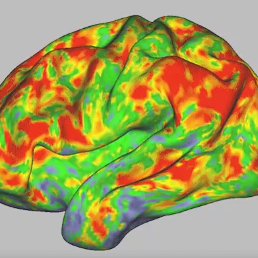 El cerebro se ‘resetea’ al consumir hongos