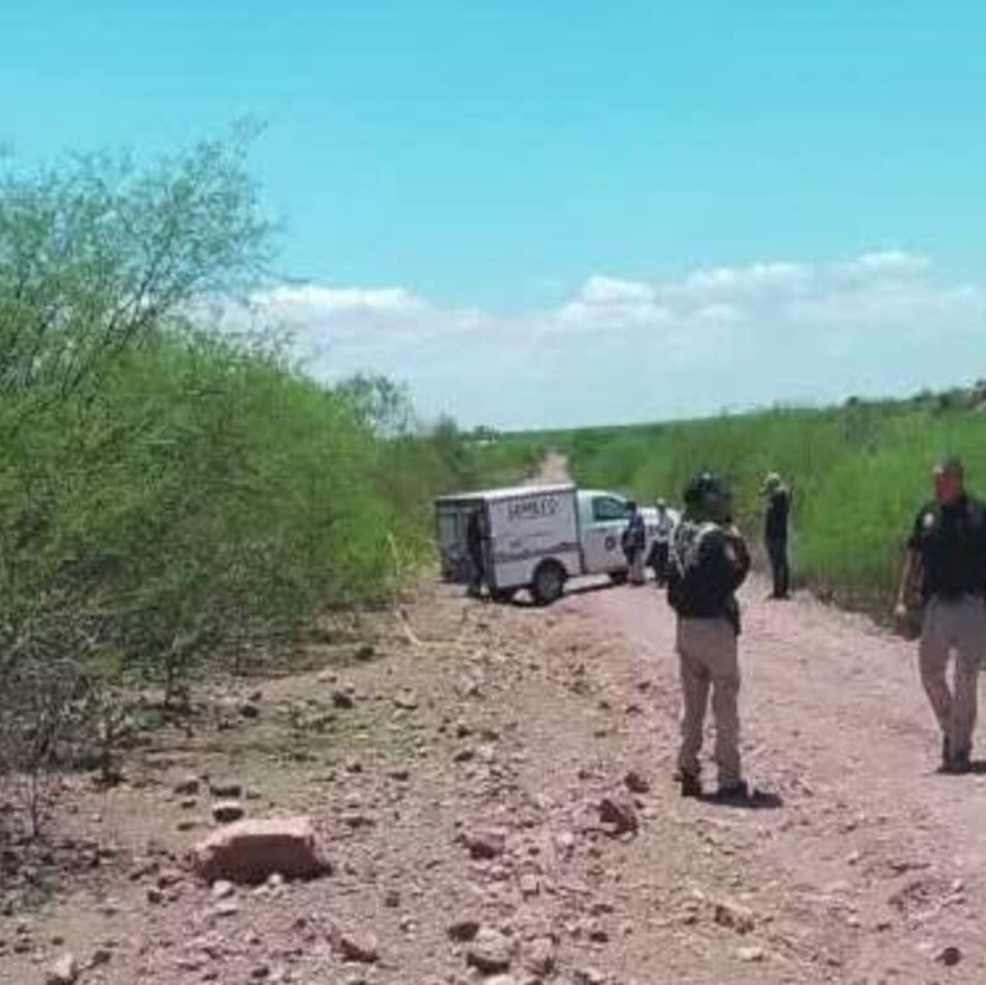 Encuentran Cuatro Fosas Clandestinas con Restos Humanos en Guaymas, Sonora