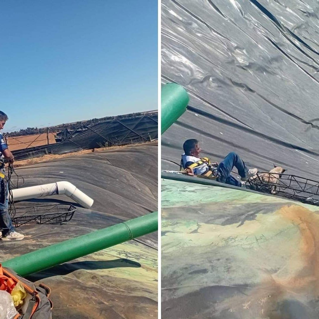Voluntarios Rescatan a Tres Perros Atrapados en Reservorio de Agua en Baja California