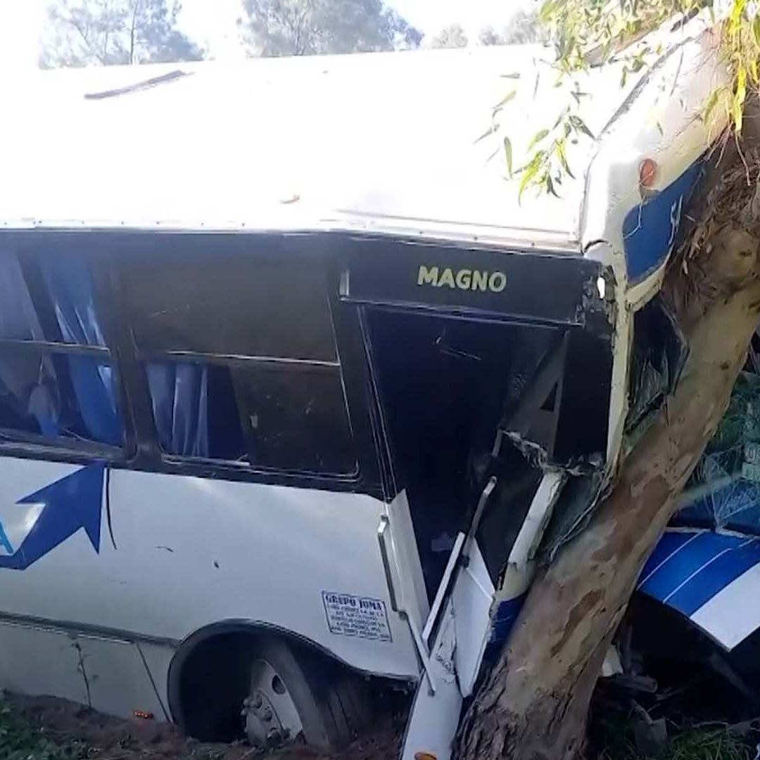 Camión de Pasajeros se Sale de la Carretera y Choca Contra Árbol en la Torreón-San Pedro