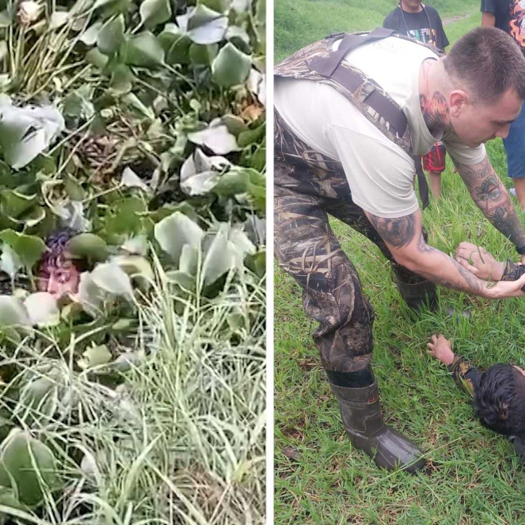 El hombre cayó al canal de agua y se enredó en el lirio.