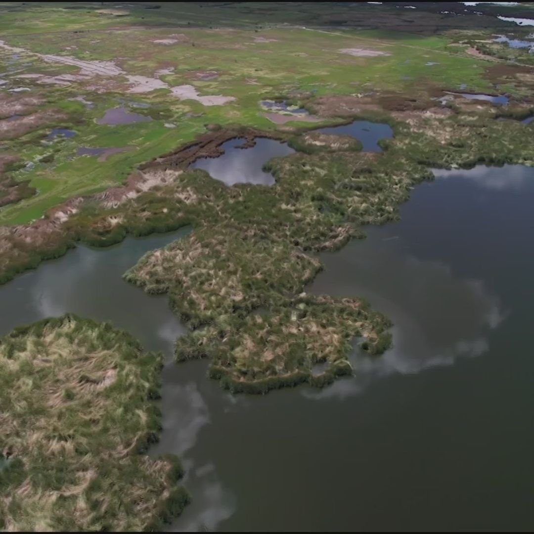 Lago de Texcoco Renace: Flora y Fauna Retoman Su Lugar en Este Espacio Natural