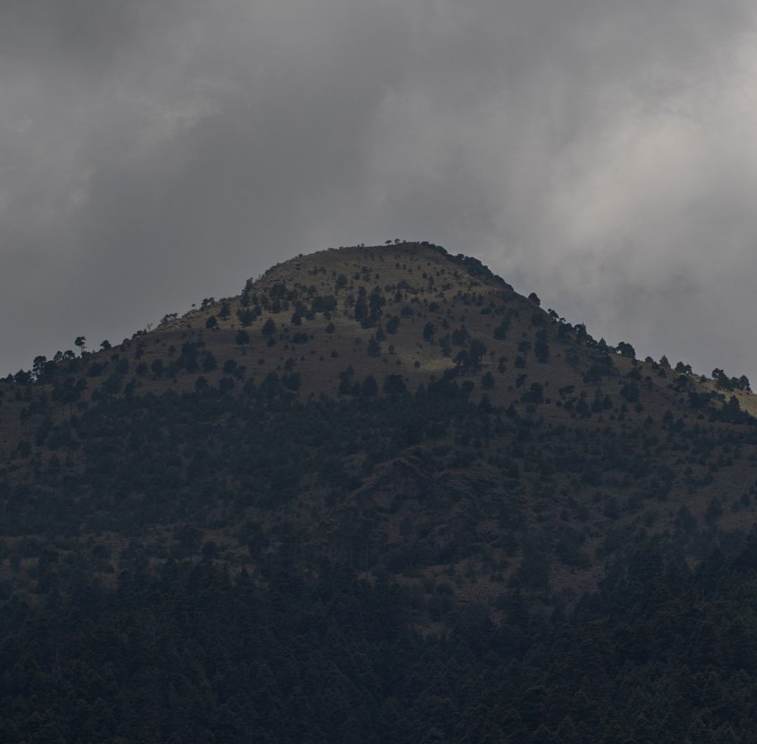 14 Días de Búsqueda de Ana Amelí; Hoy Volvieron Colectivos y sus Padres a la Zona del Ajusco