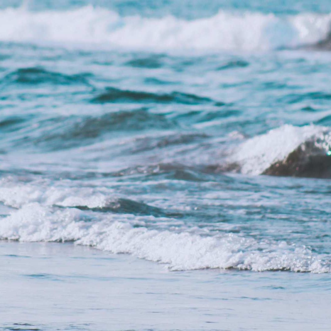 Ir a la playa es una gran idea para estas vacaciones, sin embargo, te dejamos más opciones divertidas en Veracruz.