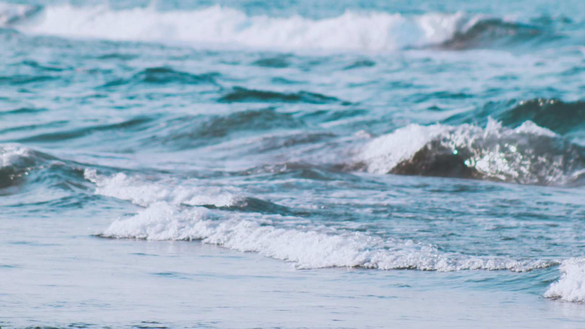 Ir a la playa es una gran idea para estas vacaciones, sin embargo, te dejamos más opciones divertidas en Veracruz.