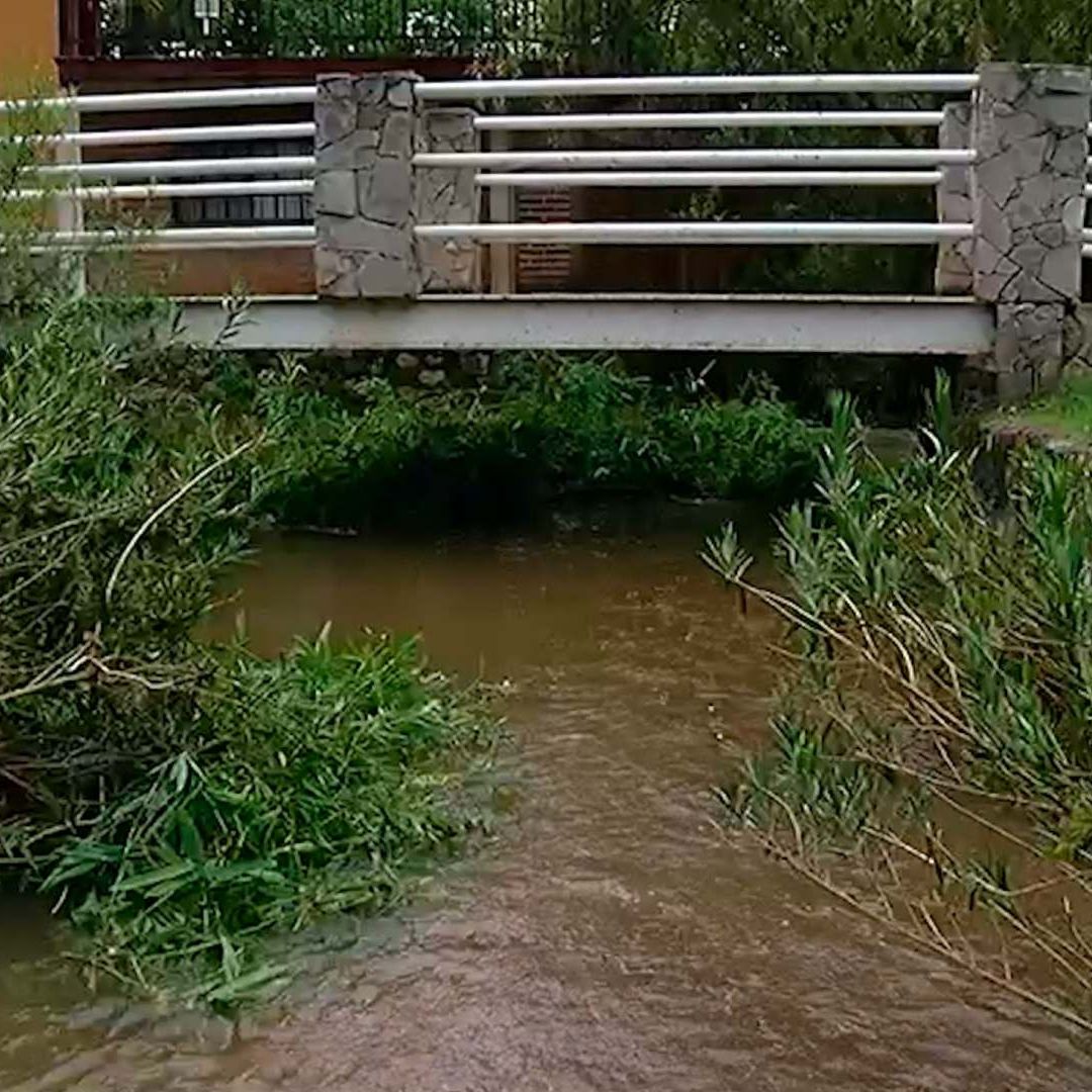 Una familia de 4 integrantes desaparecieron al ser arrastrados por la corriente del arroyo 'El Amparo'.