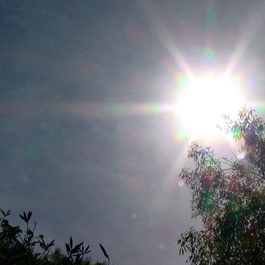Aquí te decimos por qué hace calor en Jalisco a pesar de las lluvias