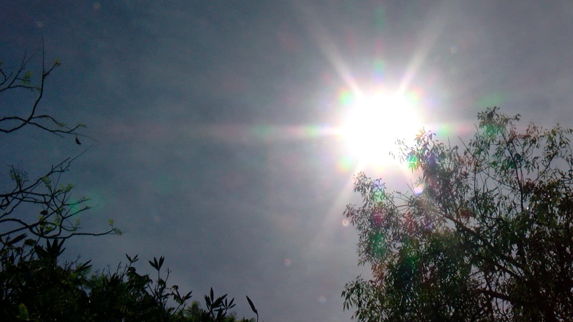 Aquí te decimos por qué hace calor en Jalisco a pesar de las lluvias